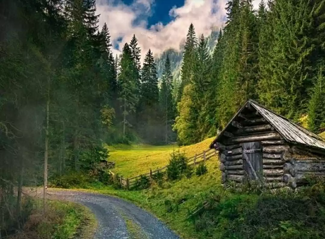 Photo of मानसून का आनंद लेना 