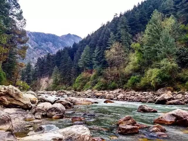 Photo of सिंगल लोगों के लिए ब