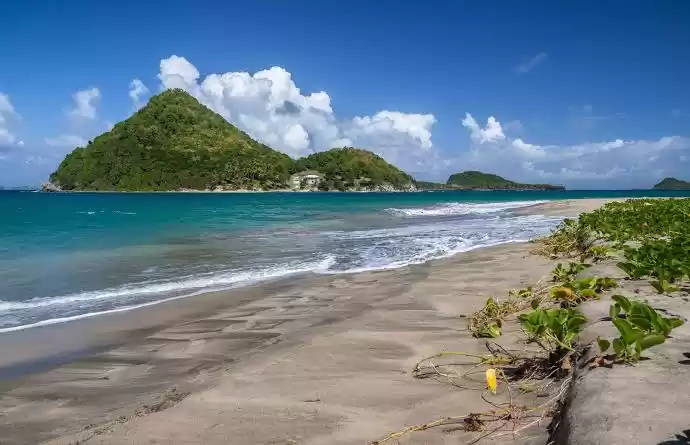 Photo of आखिर क्यों खास है पश