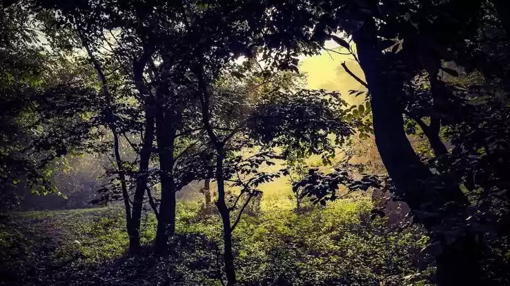 Photo of 1000-1500 रूपये में 