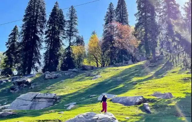 Photo of सेथन विलेज: नैनीताल-