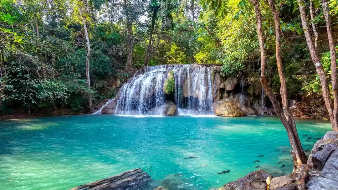 Photo of IRCTC लाया मेघालय घू