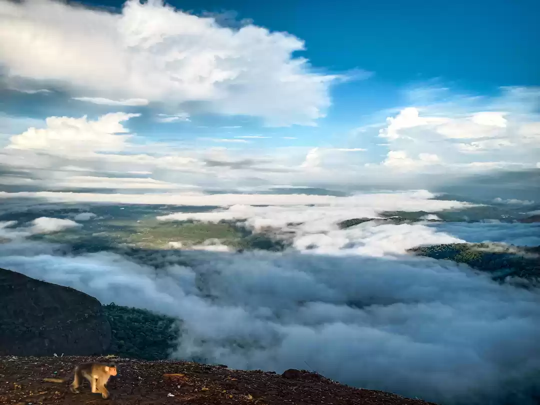 Photo of Lonawala
