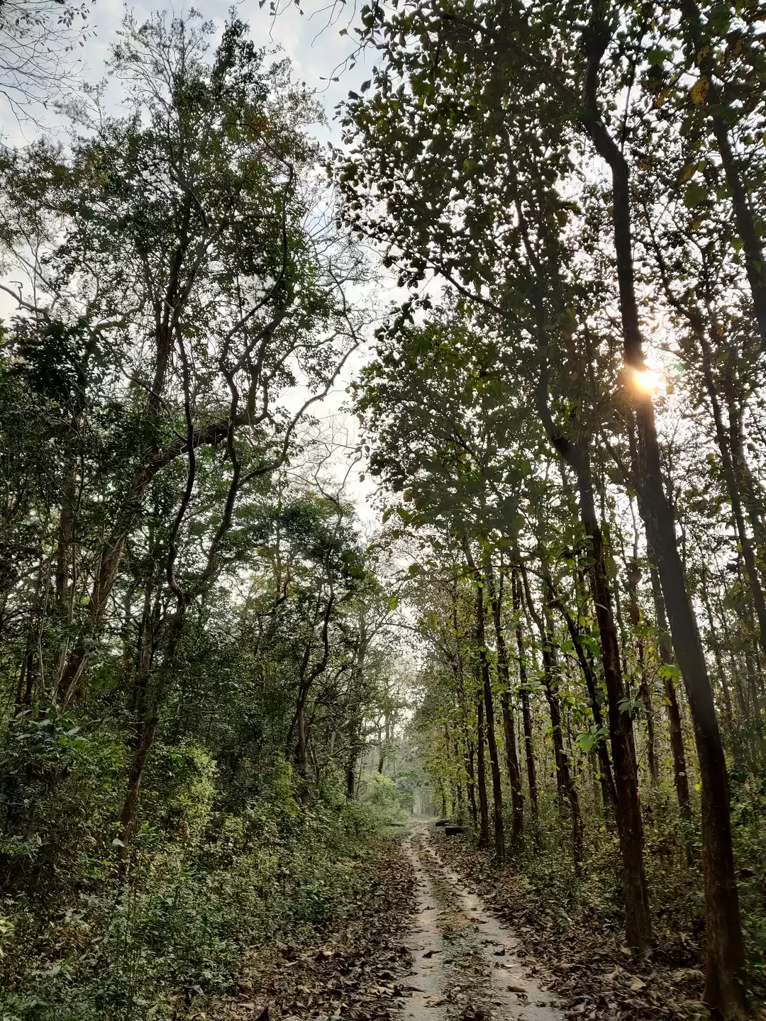 Photo of Lap of Nature