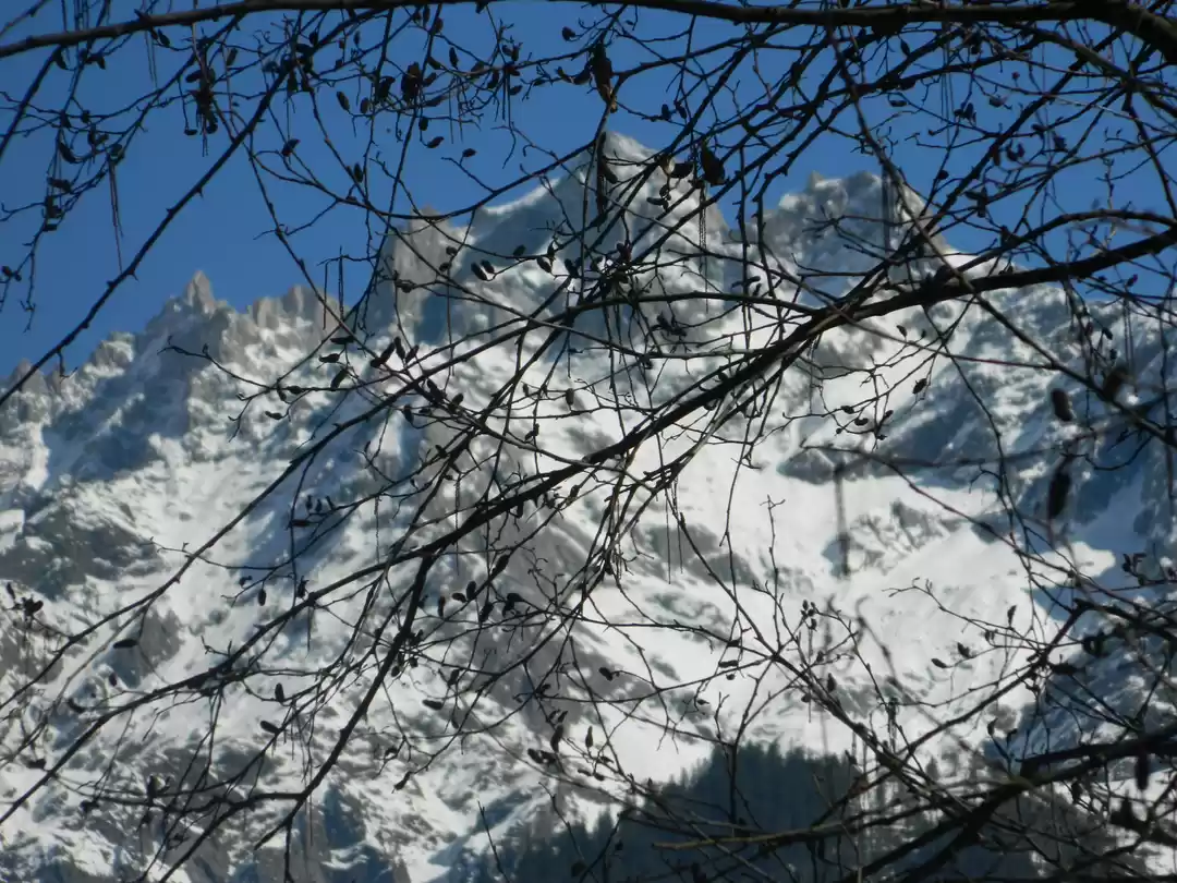 Photo of Come MALANA..