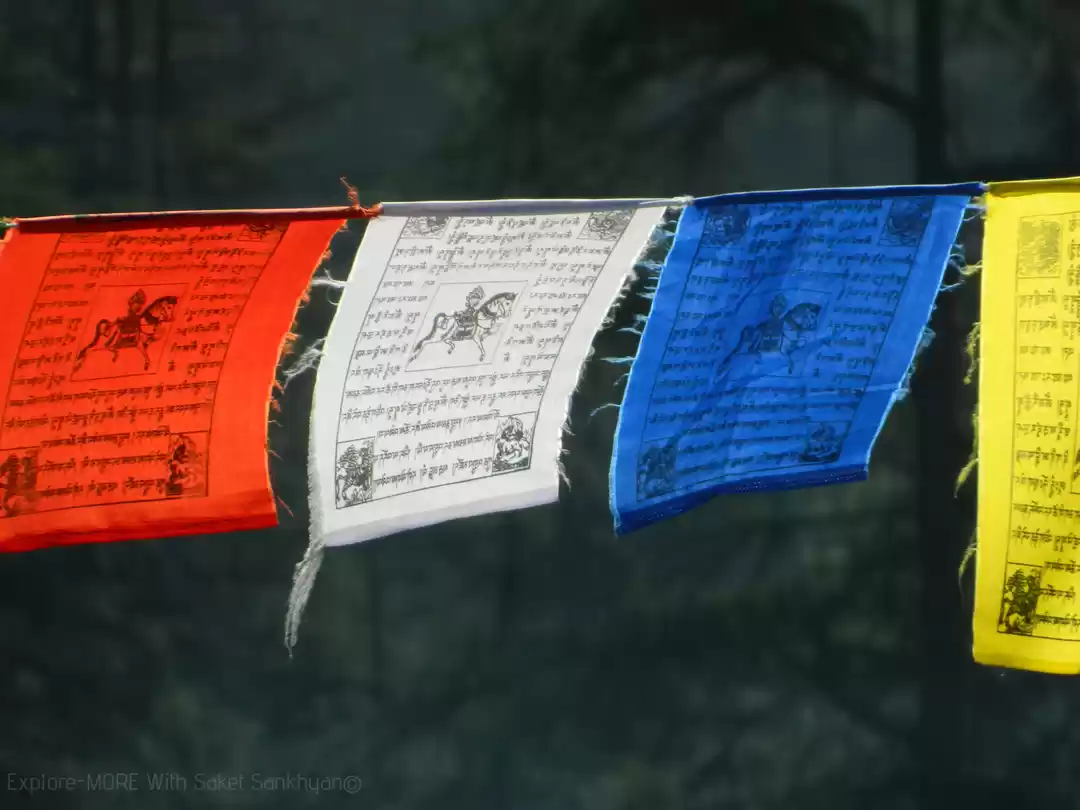 Photo of TOSH _ Perfect place