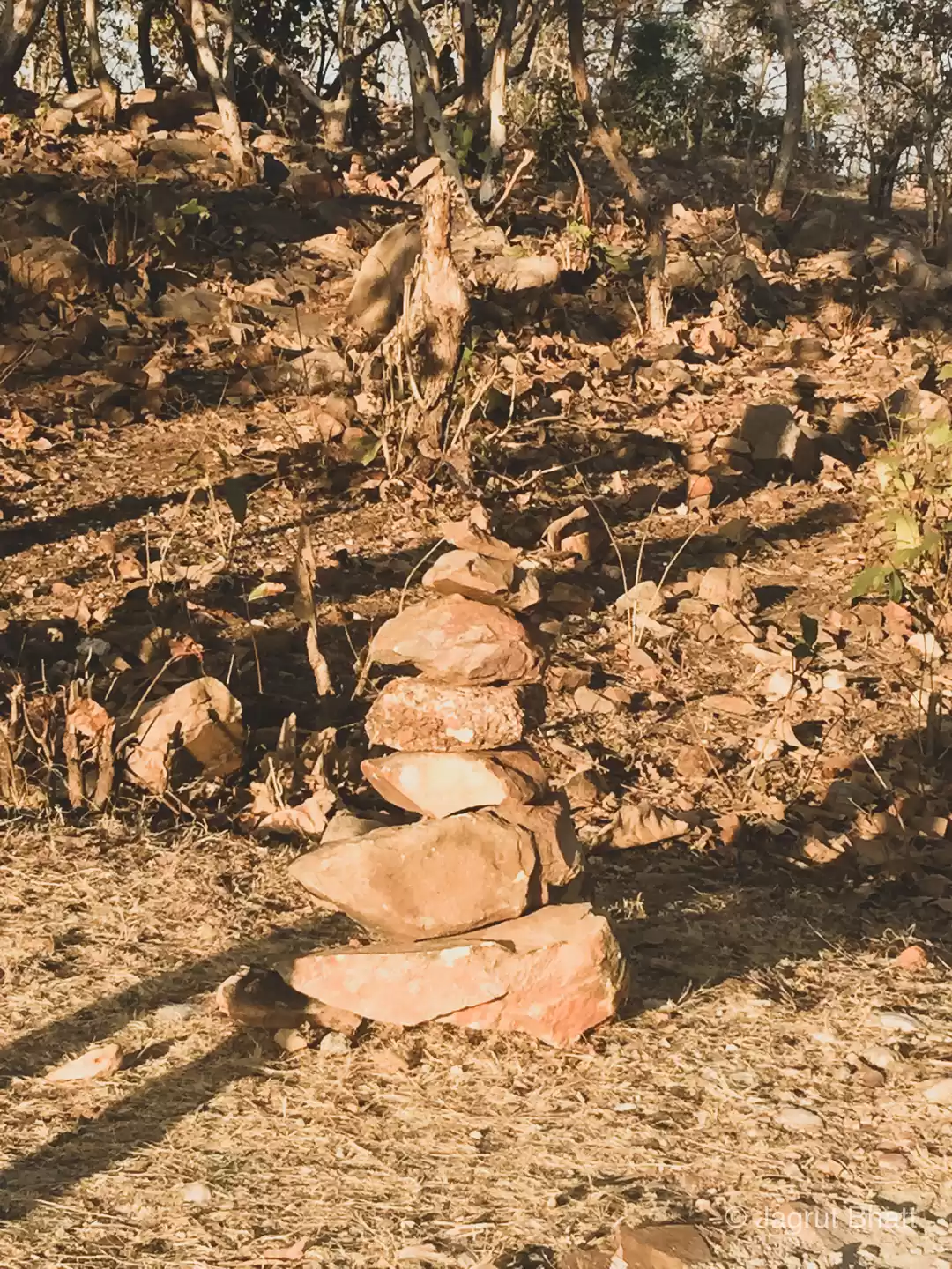 Photo of Ancient settlement f