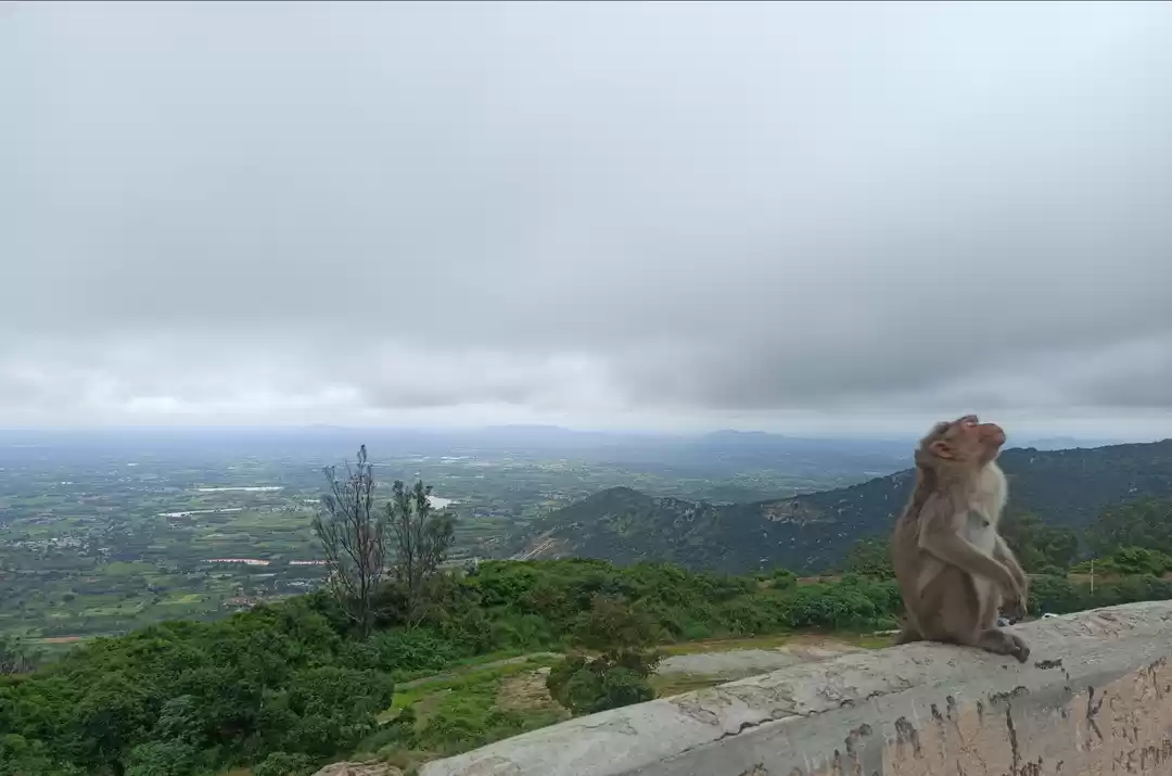 Photo of Nandi Hills