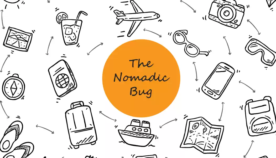 Photo of The Nomadic Bug