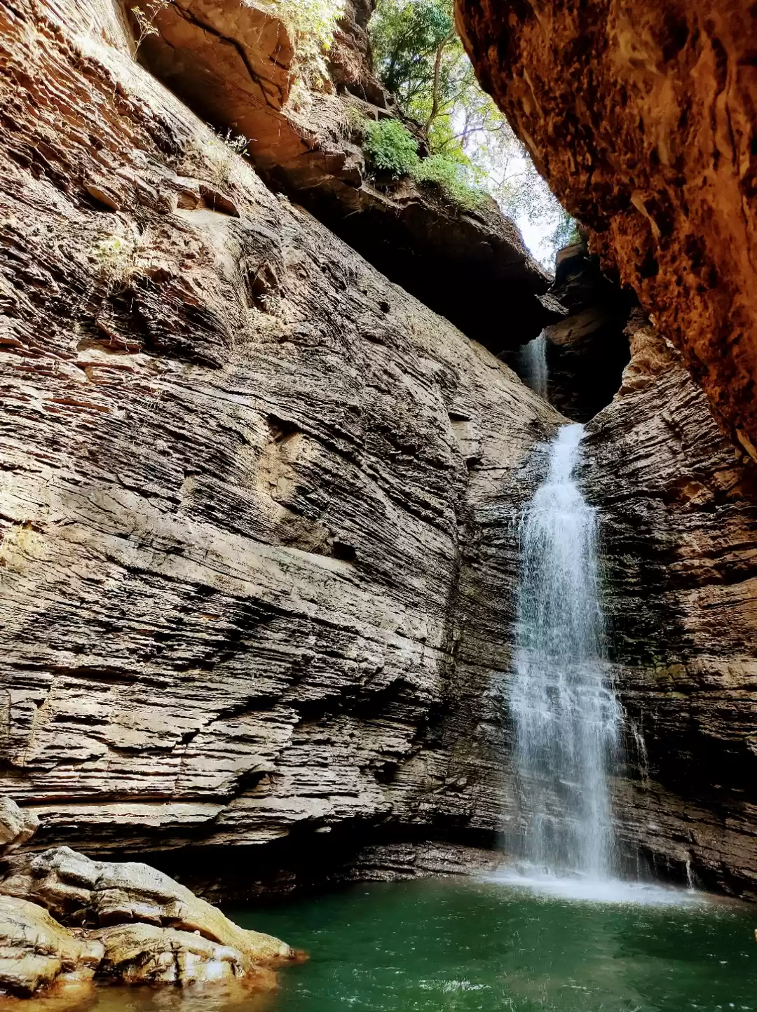 Photo of Mhadei Wildlife Sanc