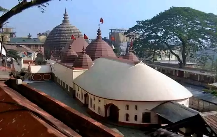 Photo of THE GODDESS WHO BLEE