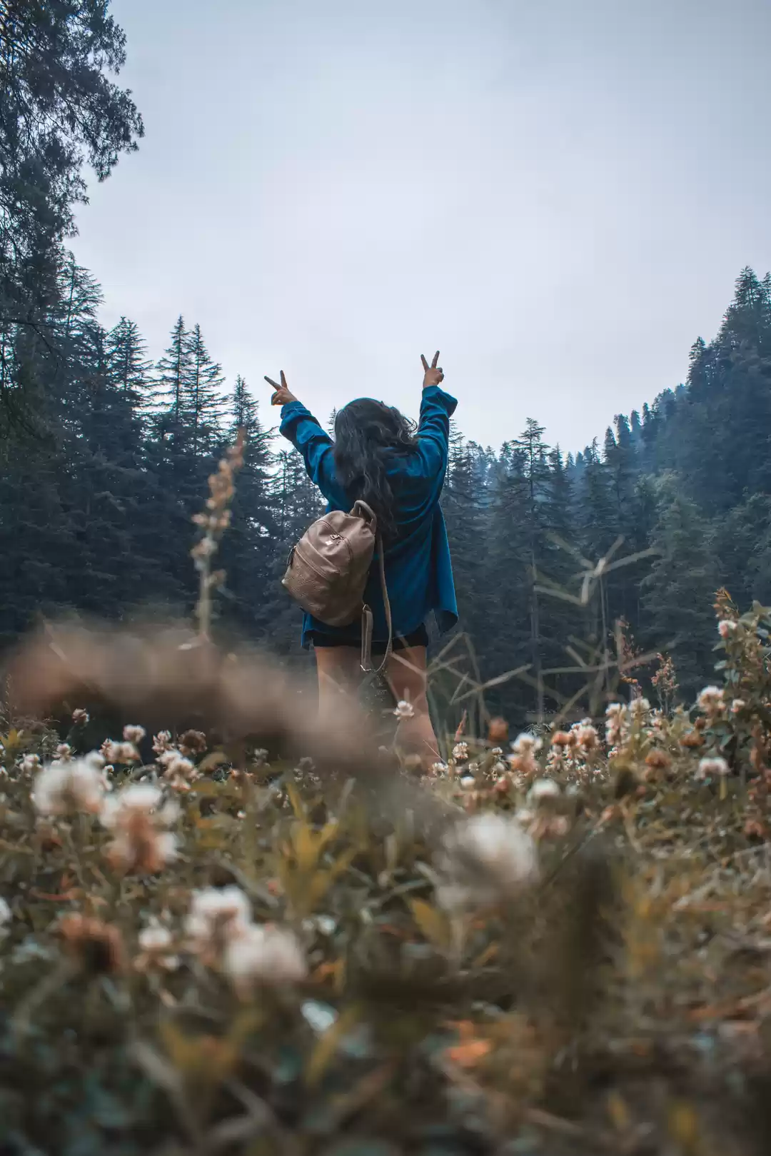 Photo of Becoming a Mountain