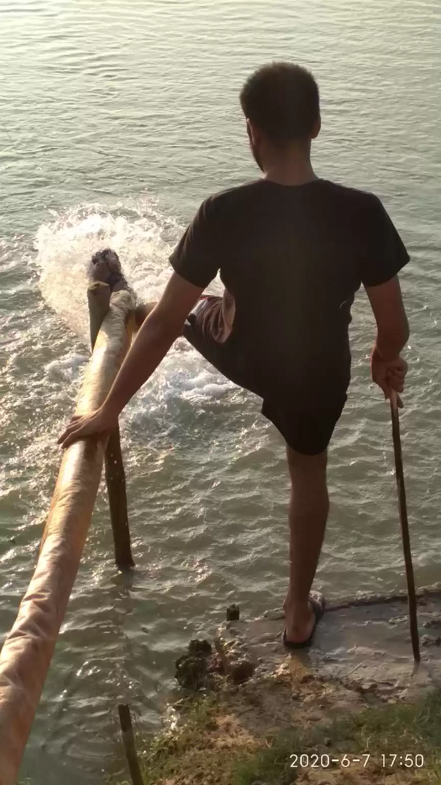 Photo of ASHISH RANJAN