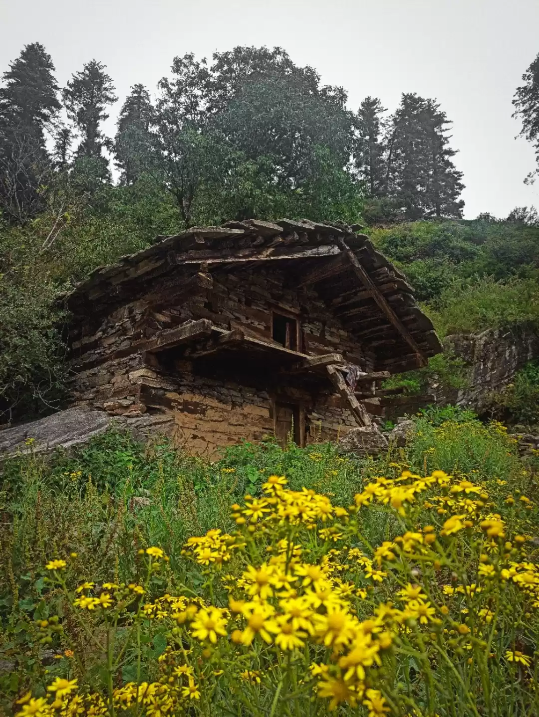 Photo of Barshaini Kutla Trek