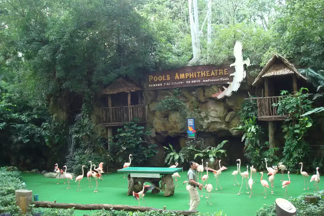 Photo of Malaysia & Singapore