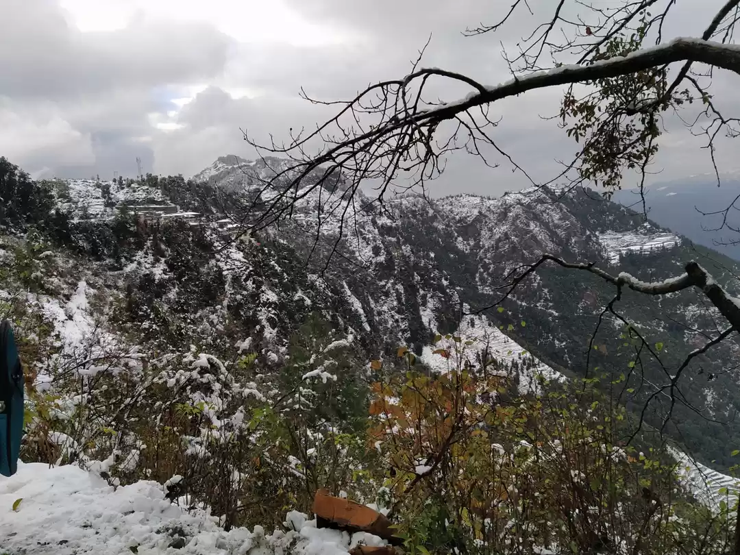 Photo of #धनौल्टी 🖤🖤