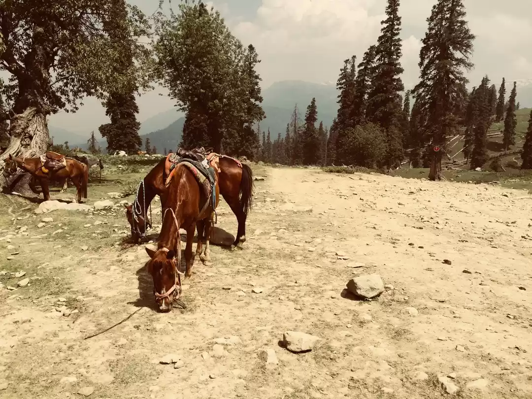 Photo of How on earth people 