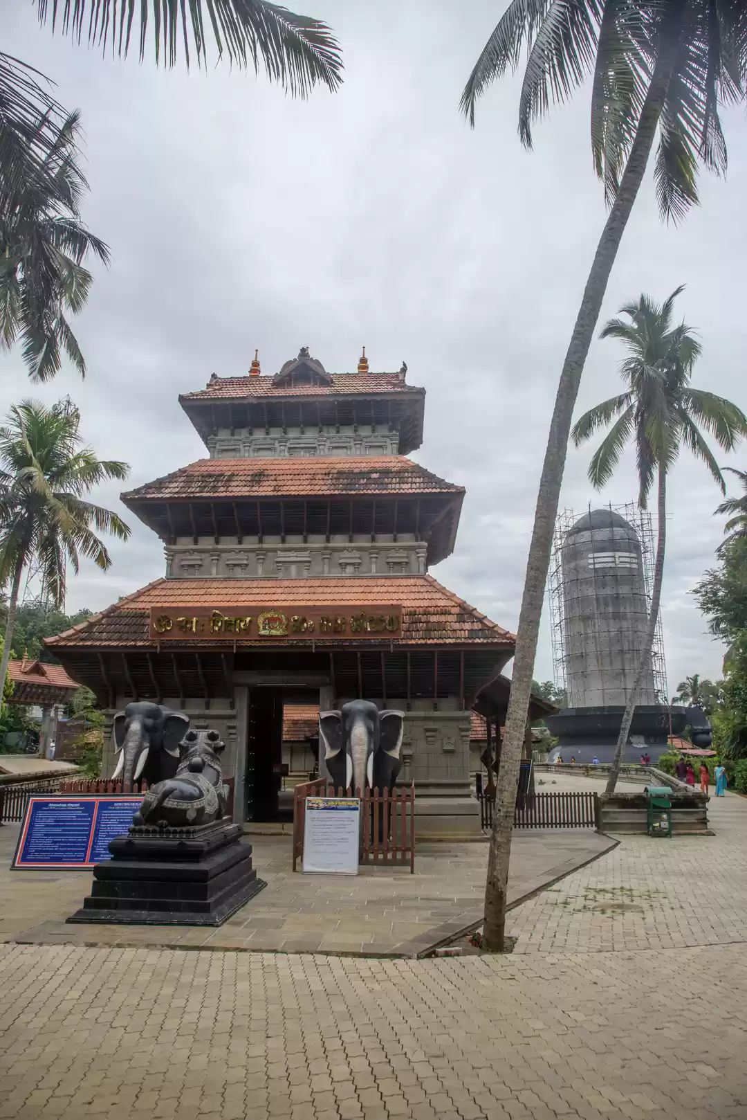 Photo of A visit to world's t