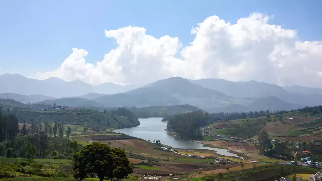 Photo of Avalanche Lake: A su