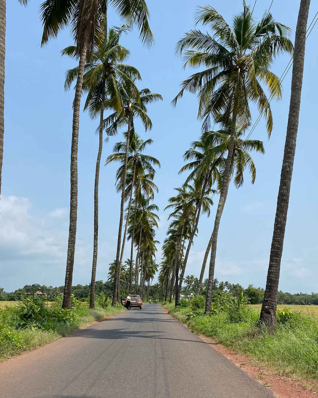 This Is One Of The Most Instagrammed Spots In Goa Tripoto The script of dear zindagi is like the story. instagrammed spots