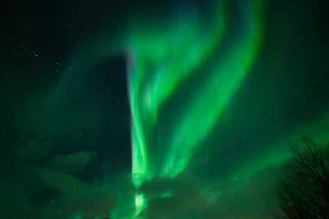 Photo of Not everyday is luck