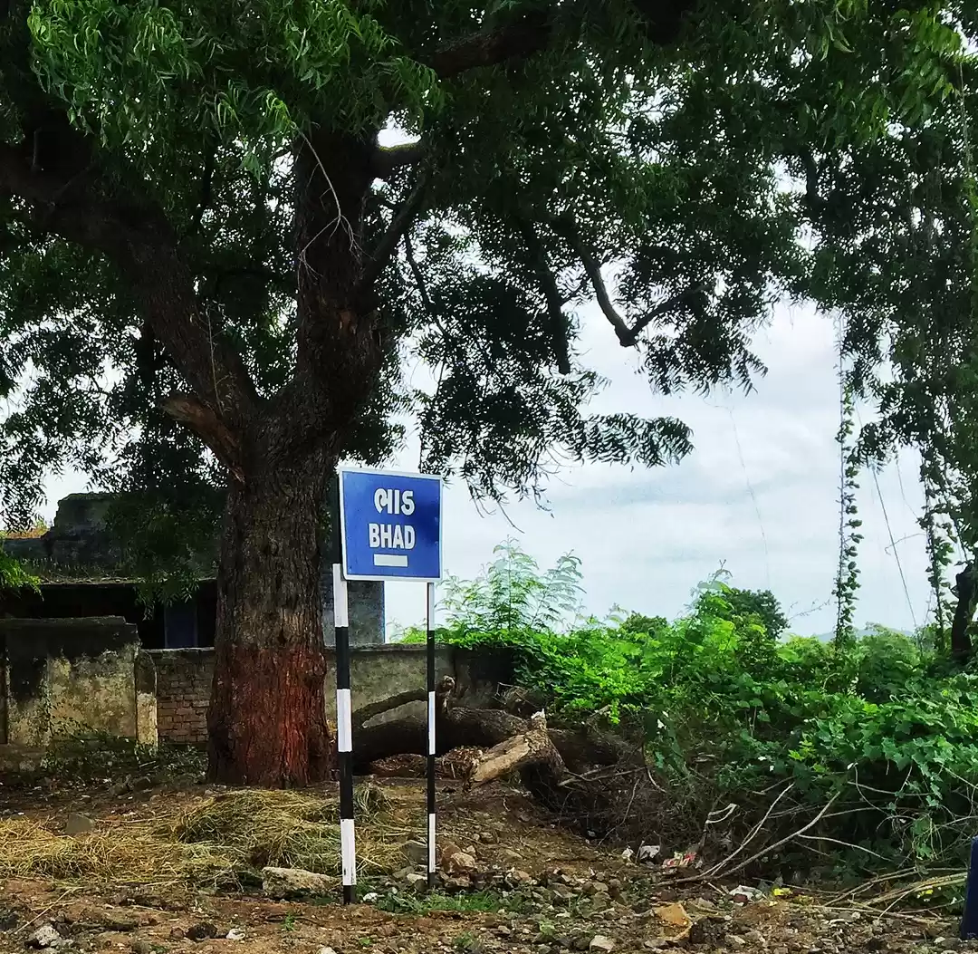 Photo of You can actually go 