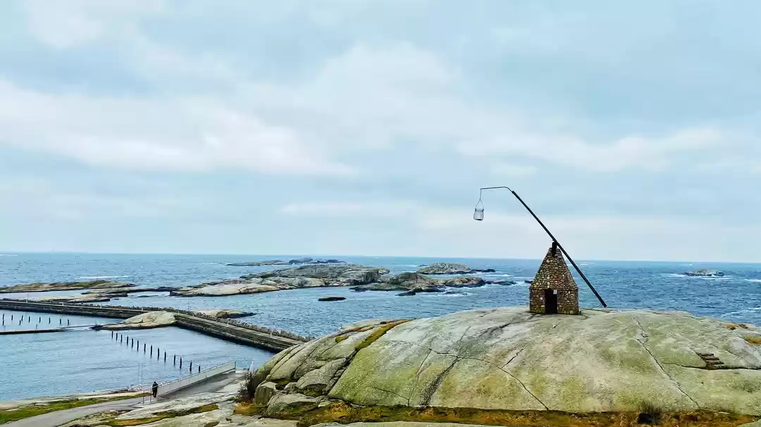 Photo of I Gifted Myself a Tr