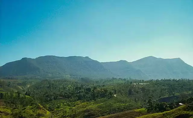 Photo of Fascinating Things t