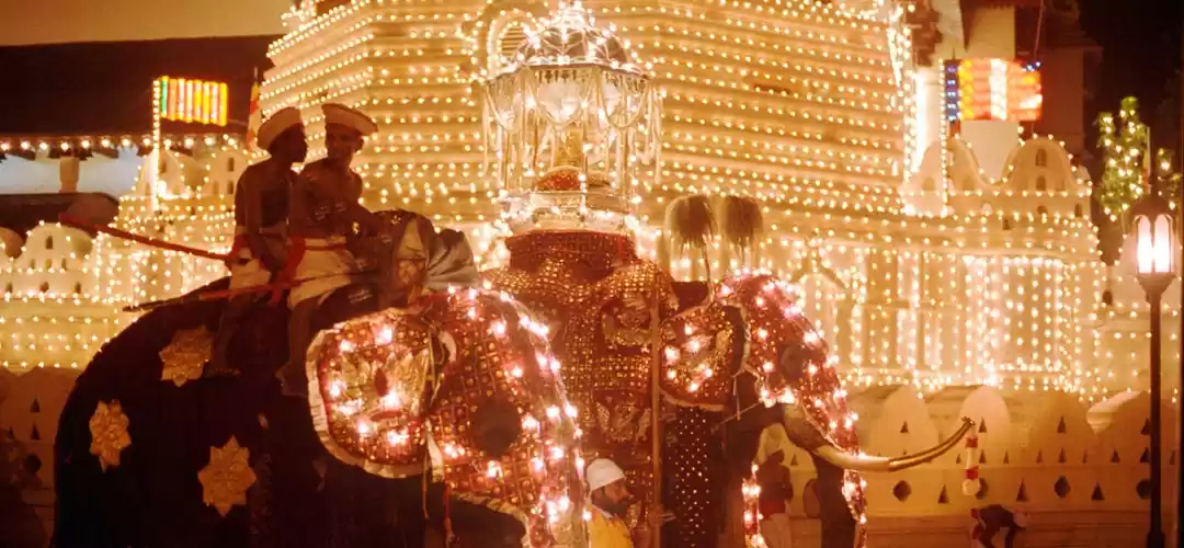 Photo of Amazing Experiences 