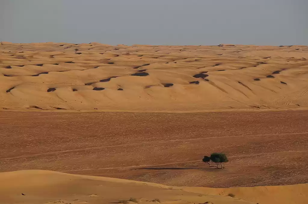 Photo of Unusual Things to do