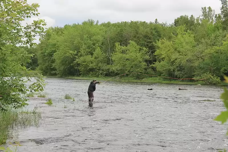 Photo of Fishing in the USA