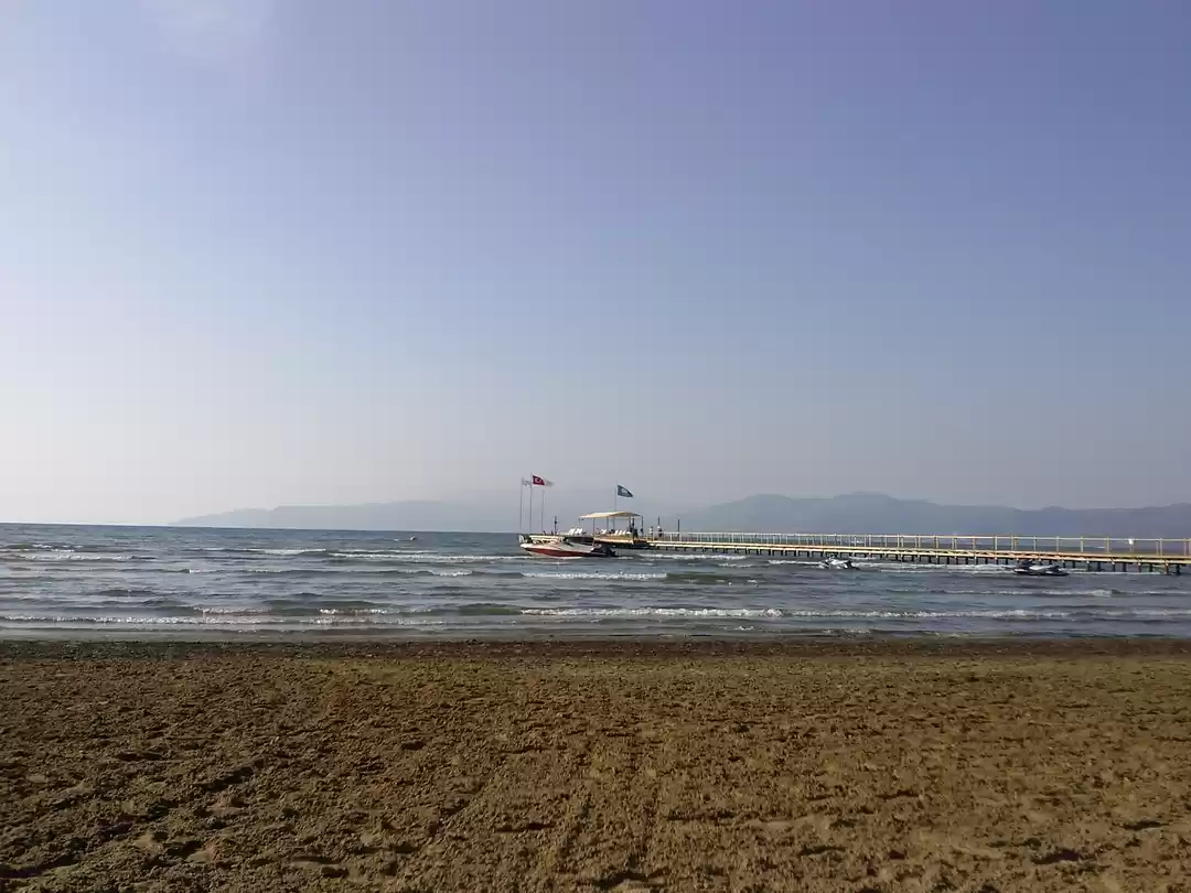 Photo of Here's Why You Reall