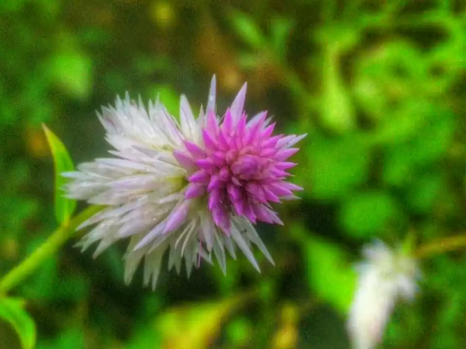 Photo of Mahuli Fort Trek