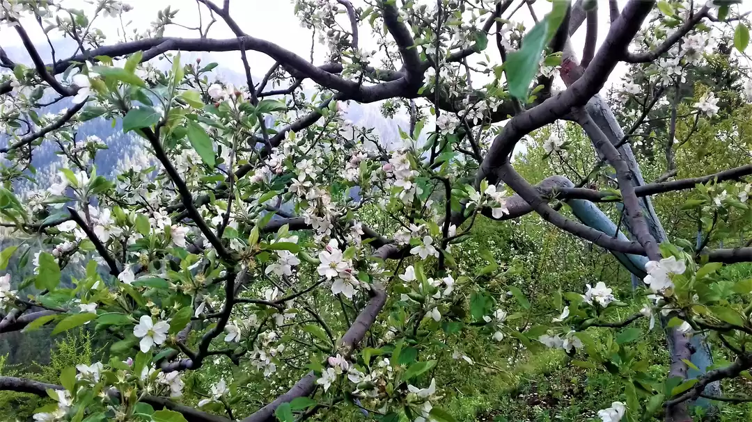 Photo of A Weekend in the App