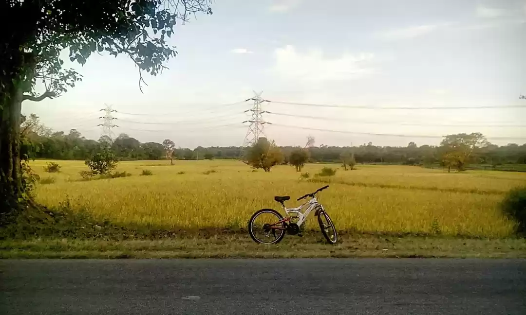 Photo of When I cycled 443 Km