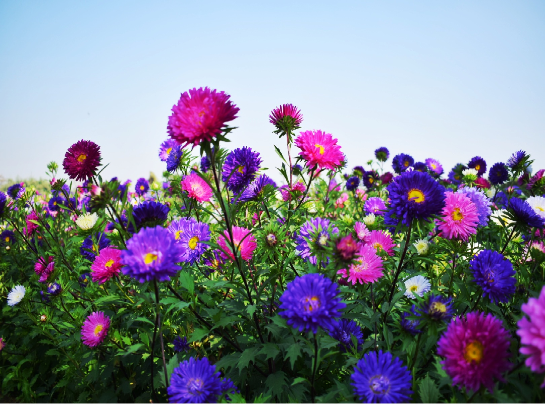 Photo of There's A Valley Of 