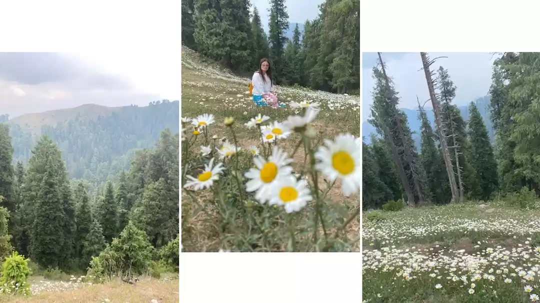 Photo of This Trek in Dalhous