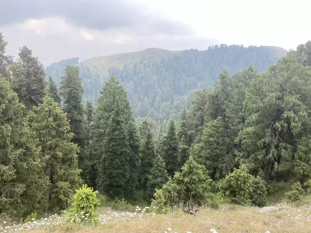 Photo of Stunning Experience 