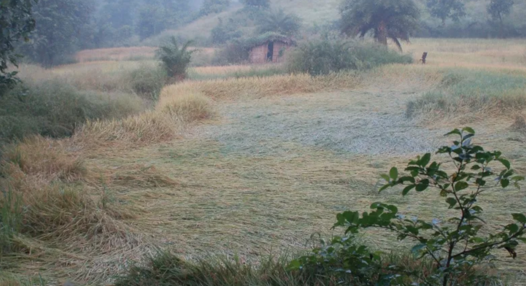 Photo of Walvanda Tribal Vill