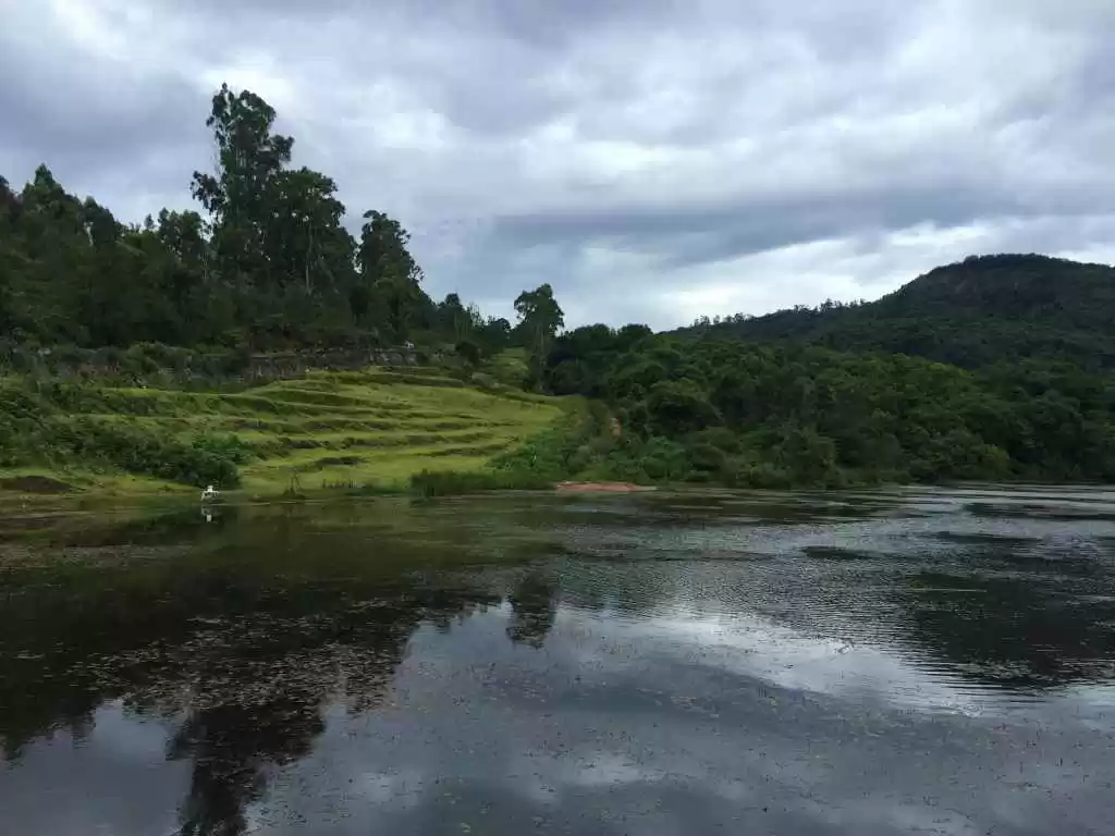 Photo of Forget luxurious res