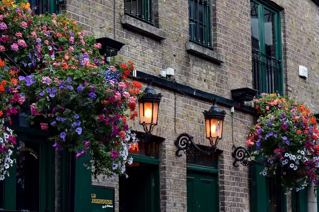 Photo of Good News for Indian