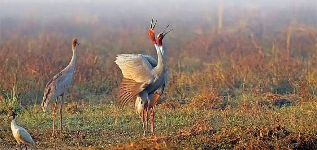 Photo of These Are The Best B