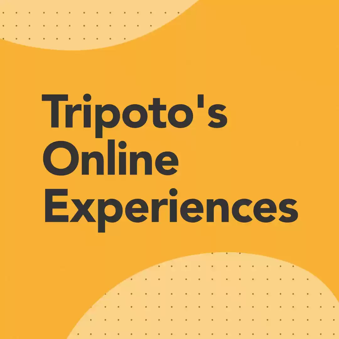 Photo of Tripoto: Online Experiences