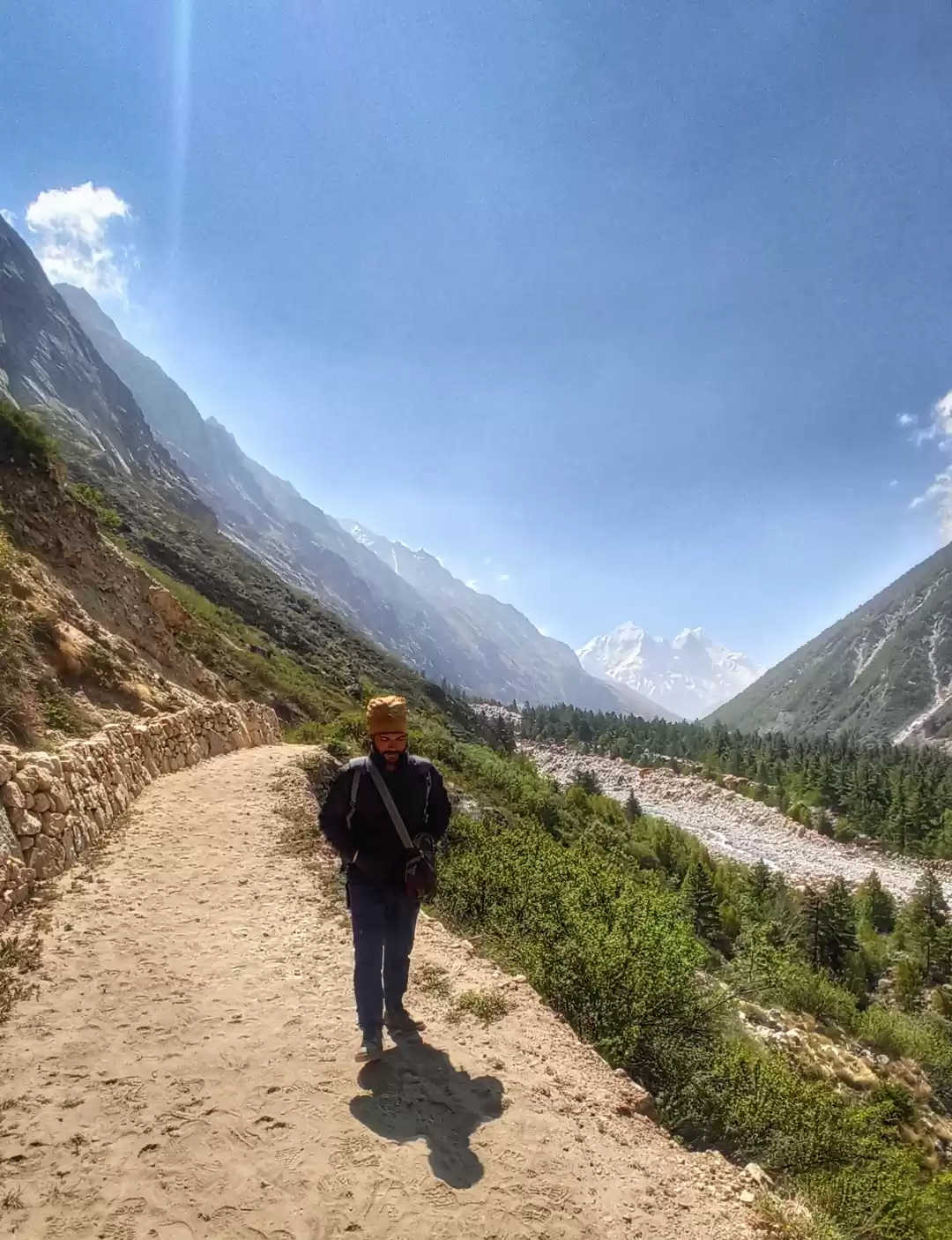 Photo of Gangotri nation park