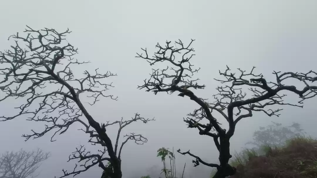 Photo of Trek to Jyotirlinga 