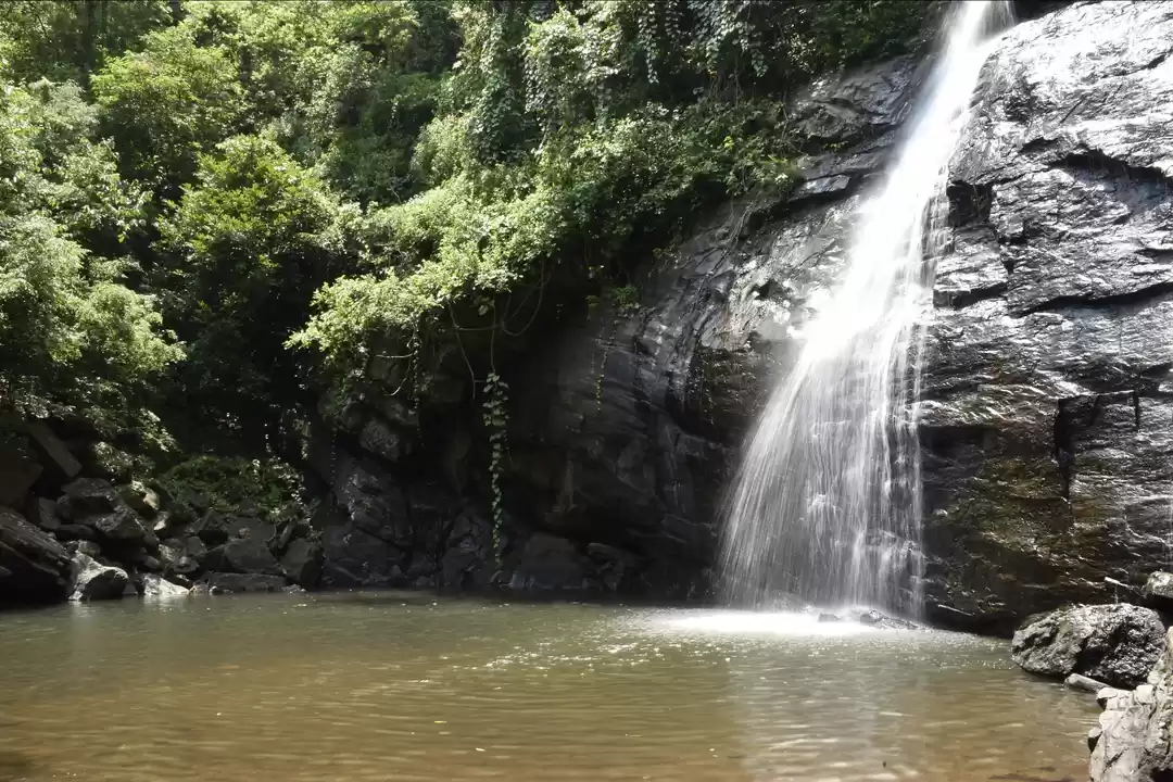 Photo of Deojhar waterfall, C