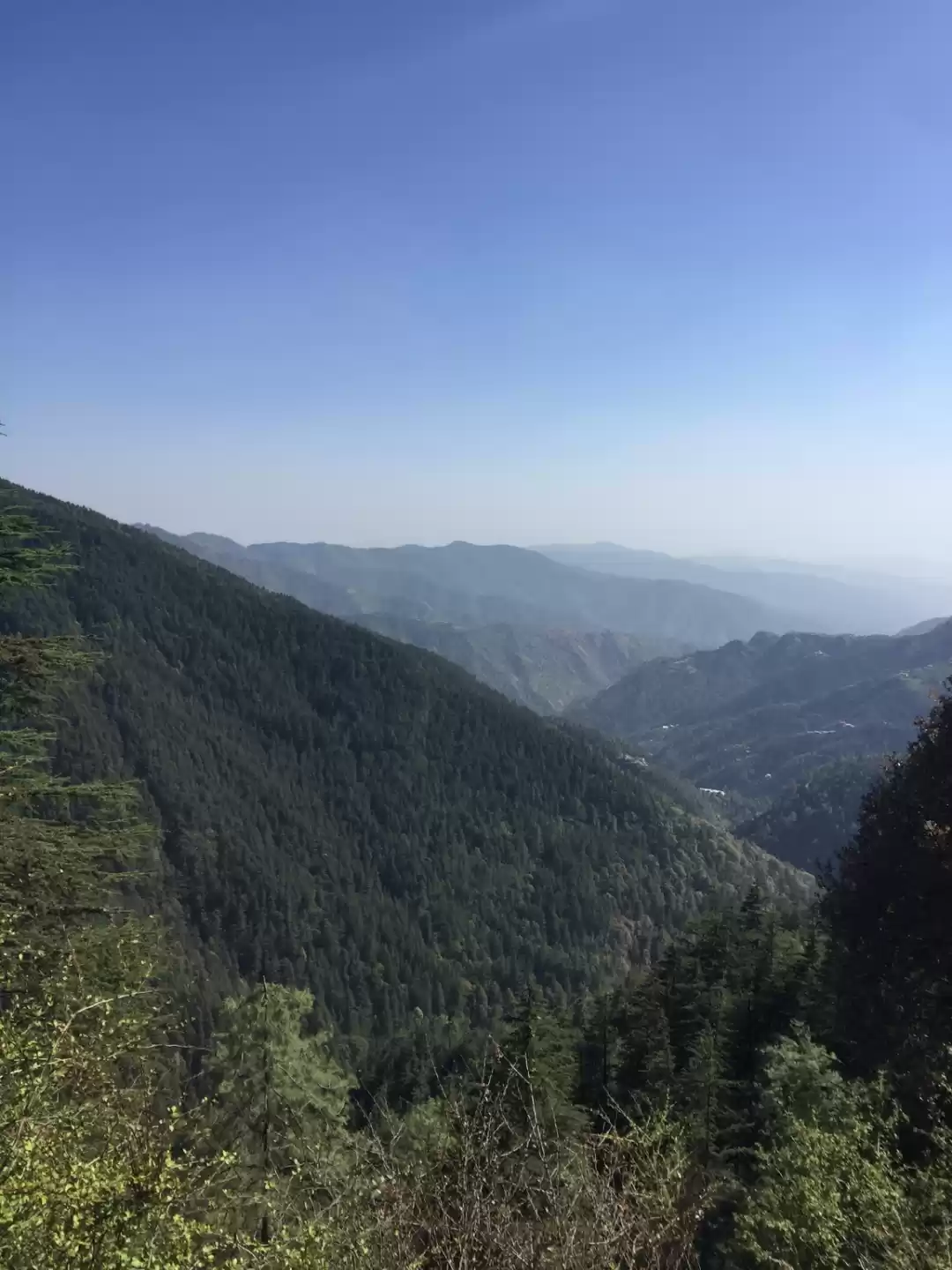 Photo of Green valley