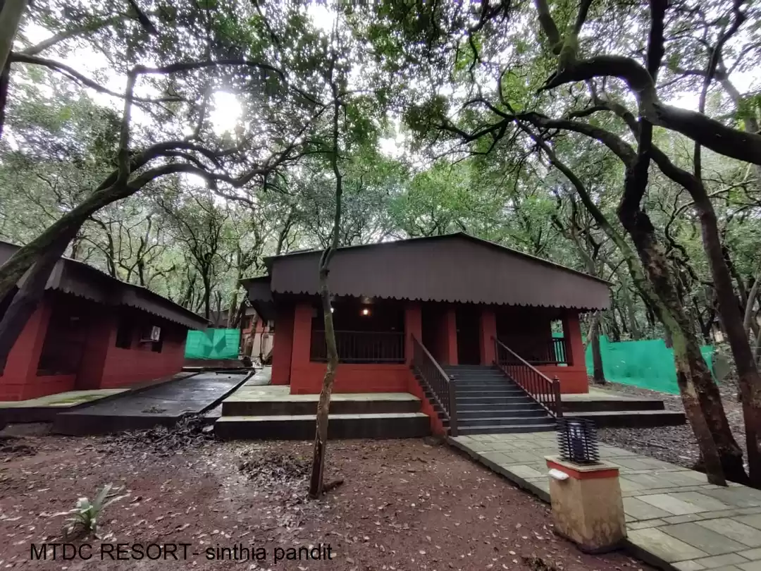 Photo of SERENDIPITOUS SERENI