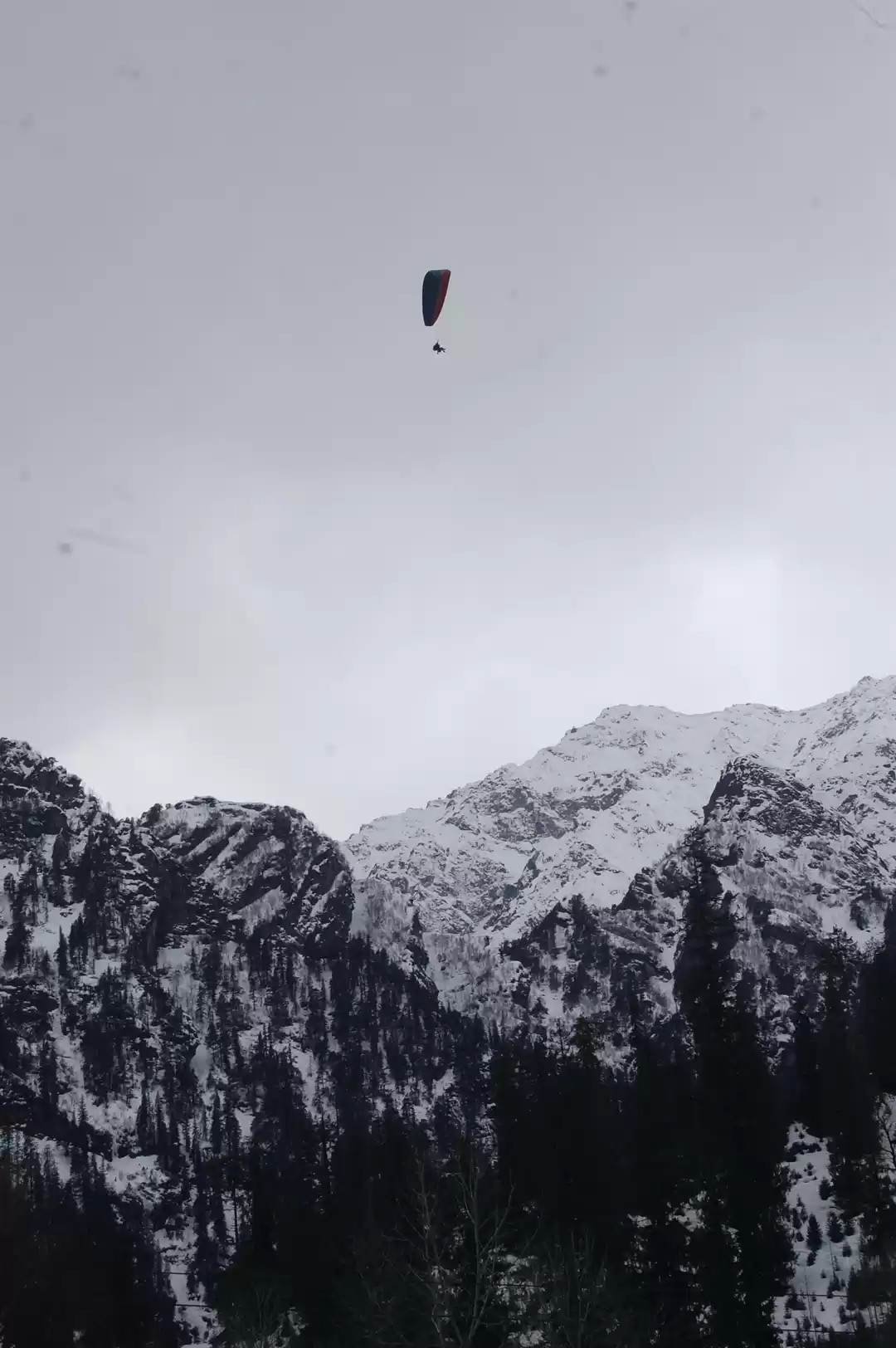 Photo of TRIP TO NORTH INDIA