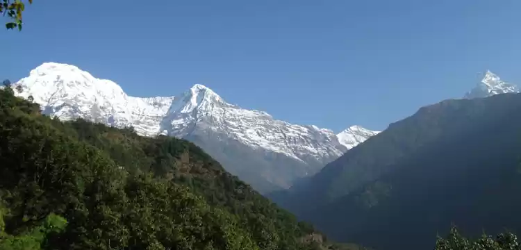 Photo of Panchase Bhanjyang T